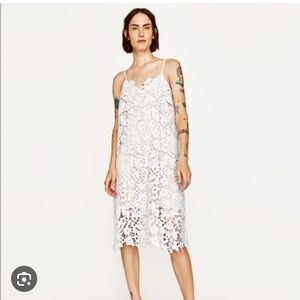 Zara White Lace Midi Dress